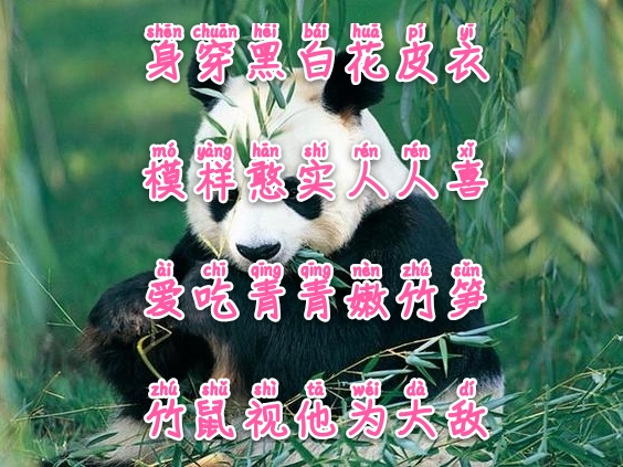 常与孩子猜谜100条儿童谜语建议,儿童睡前谜语简单易懂大全