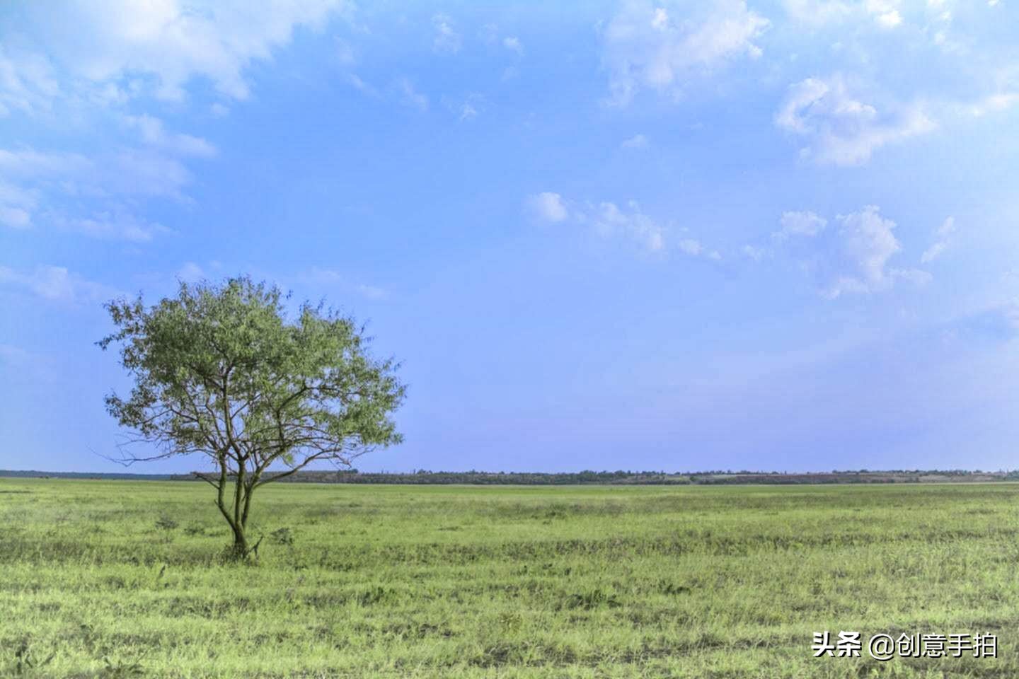 手机修图技巧和方法,修图技巧手机