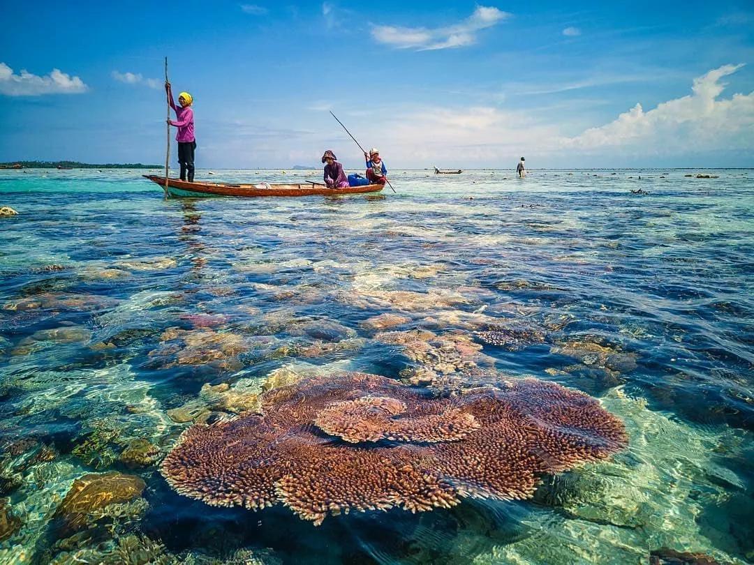 吃19块钱的海鲜自助,深圳133块钱海鲜吃到爽