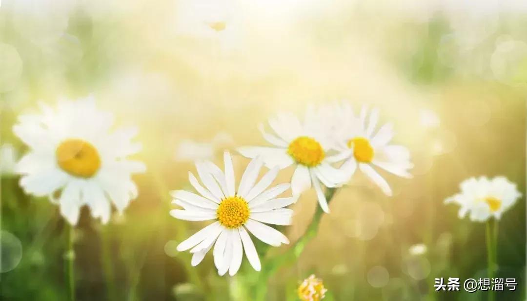 文言文常考通假字汇总,文言文通假字归纳汇总中职