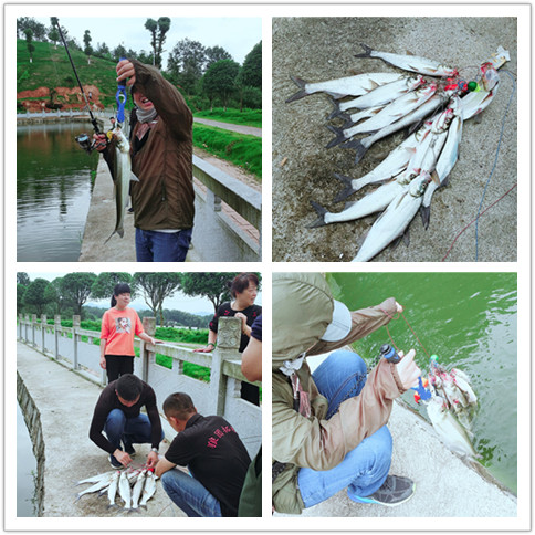 长沙县金井镇胖仔农庄,长沙县胖仔休闲农庄