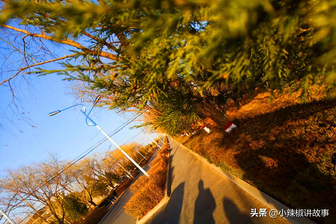 安妮生气了绘本,安妮生气的时候