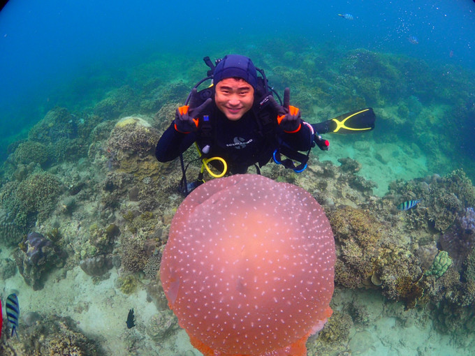 越南芽庄旅游攻略模板,芽庄出海一日游