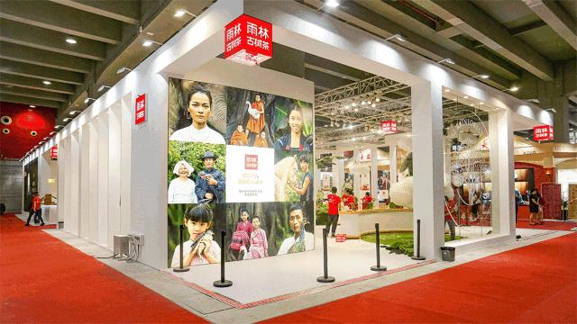 茶界创新还要看雨林