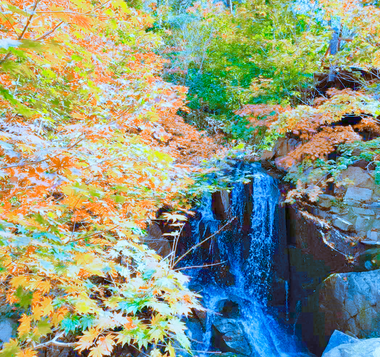 山东一票通游玩的景点,山东一景区一次接待千团十万人次