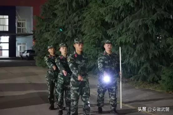 蛇在什么情况下才会主动攻击人,蛇会互相攻击吗