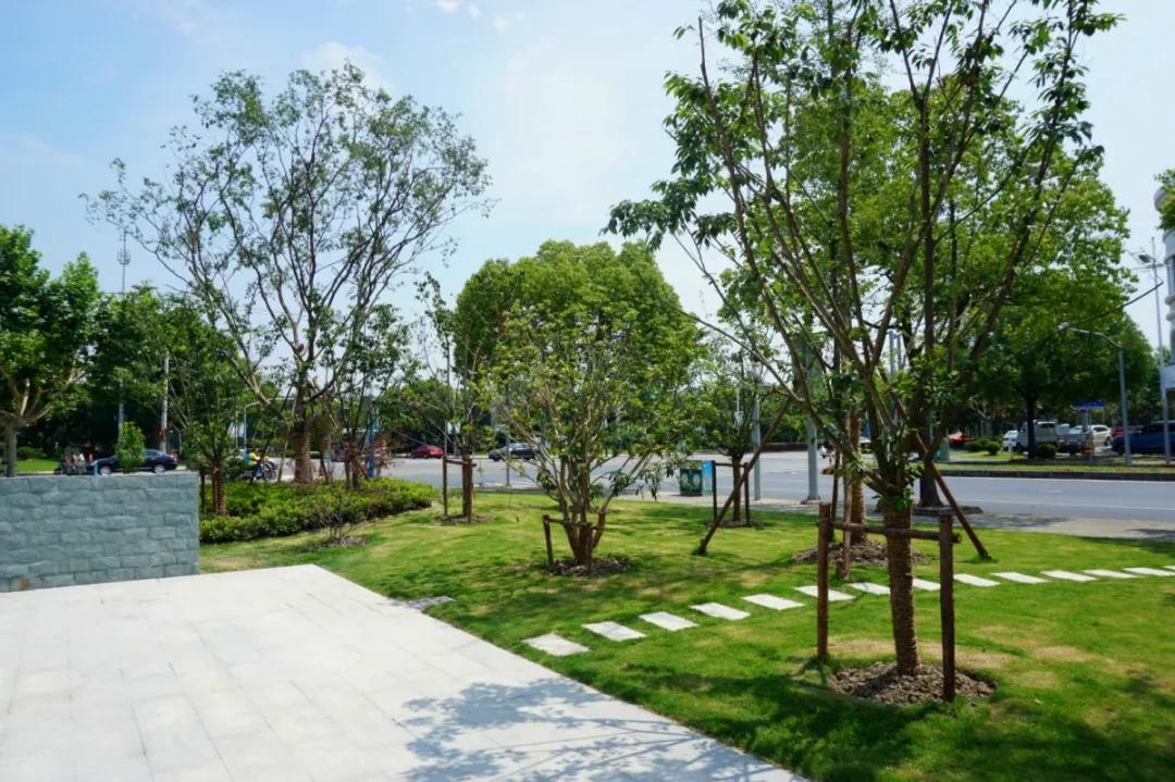 松江国际生态商务区地标,松江国际生态公园