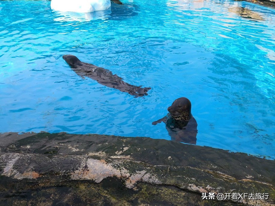 说走就走的旅行攻略省钱一天,说走就走的旅行攻略大全