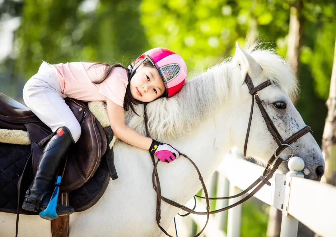 运通汽车购车节,运通嘉年华夏季用车知识