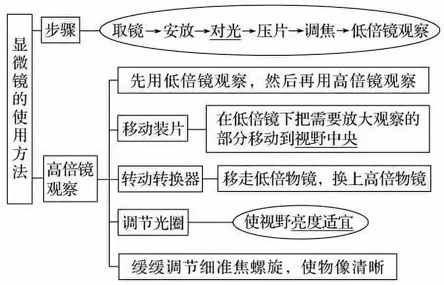 云南高中会考生物实验操作,生物显微镜实验视频高中