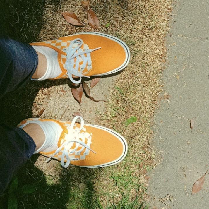 vans新春球鞋,vans新款球鞋