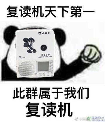 2019年度十大流行词汇大全,2019时下最流行的词语