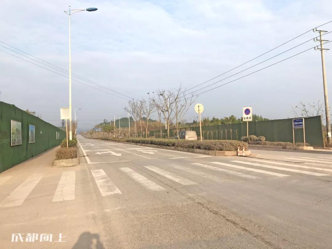 成都2024年火爆项目,巨变前夜智能网联汽车