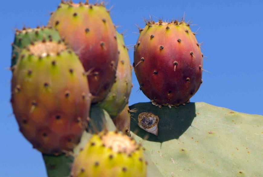 做人不要太锋芒毕露学会低调处事,为人处世只要懂得这三条规则