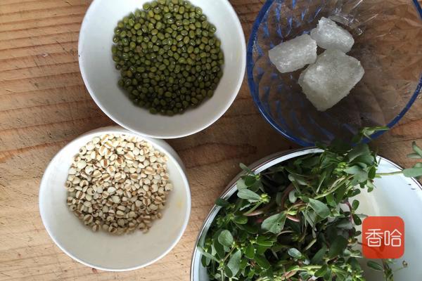 马齿苋怎么吃好吃又简单,马齿苋蒸菜馍怎样不发酸呢