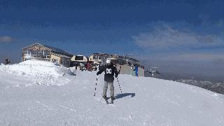 初学双板滑雪基本动作,双板滑雪基本姿势教学