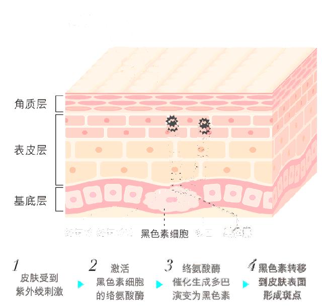 隔离要全脸涂吗,隔离能不能直接用手涂