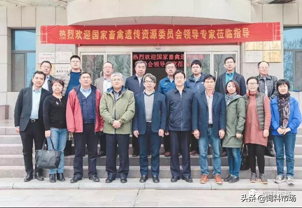 山东临沂牧原农牧有限公司,山东临沂大力发展智慧农业