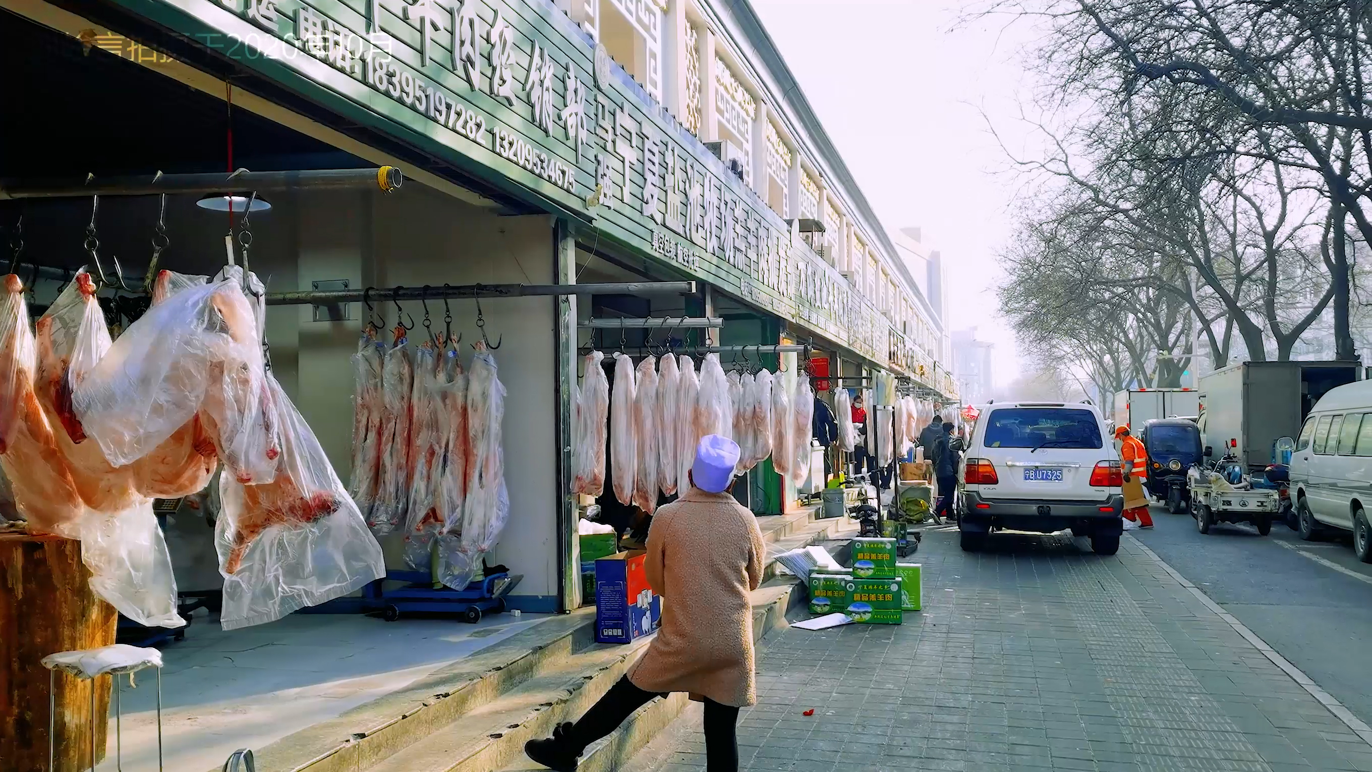 银川凤凰城的传说感想和收获,银川叫凤凰城的由来