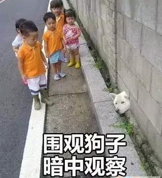 血橙面膜有没有问题,韩国血橙面膜到底是真是假