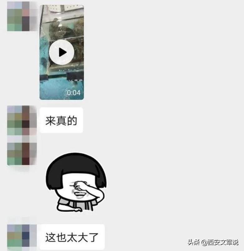 罚员工吃蚯蚓事件续,被罚生吃蚯蚓后续