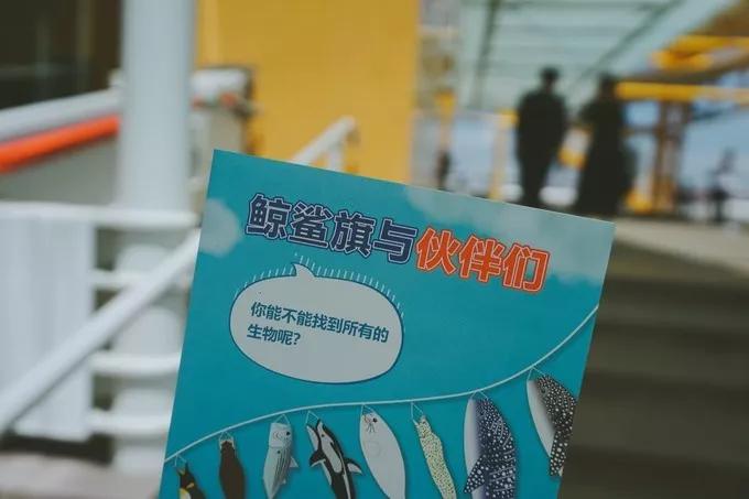 不一样的大阪三日游，瑠璃一束光，值得一来再来