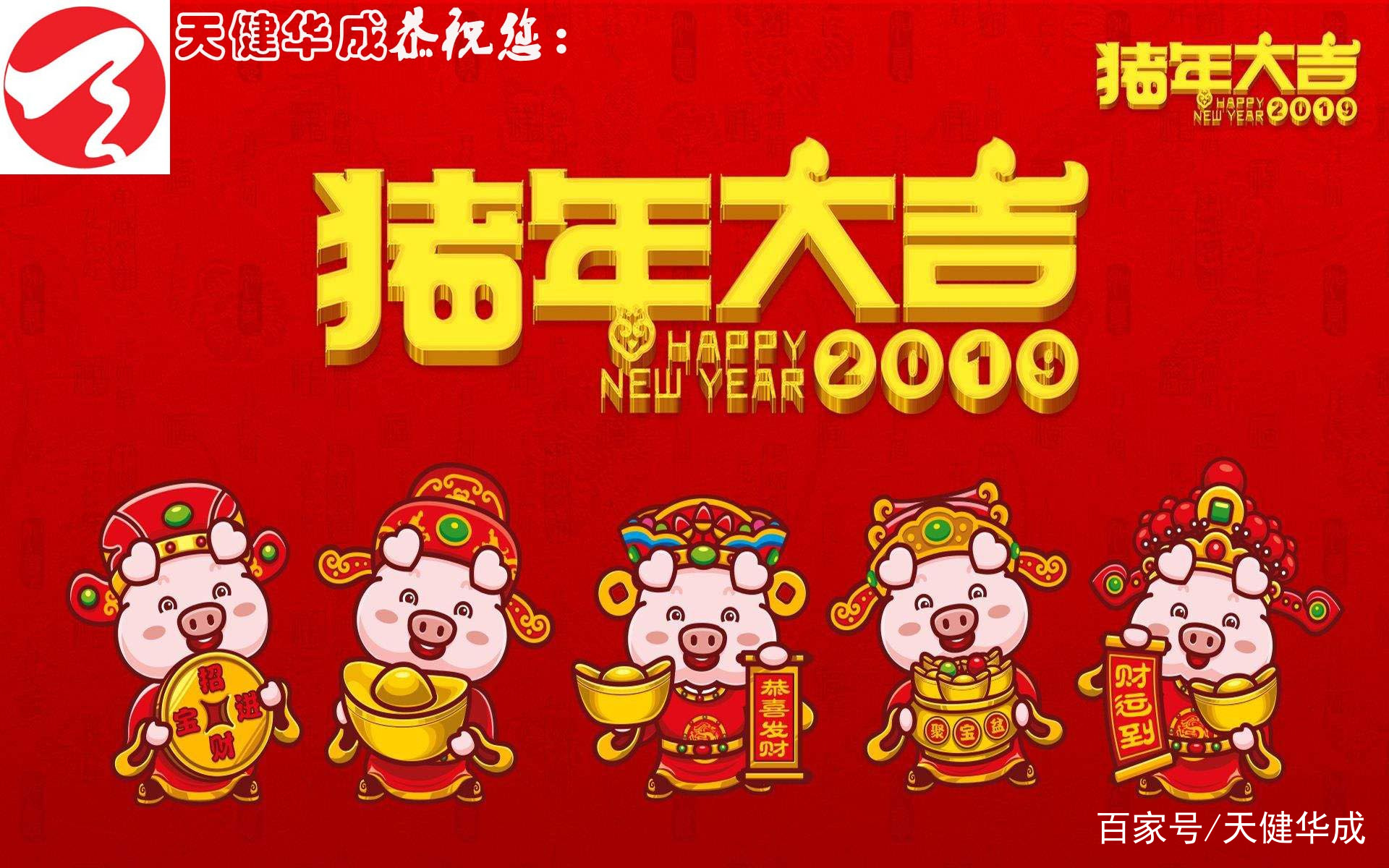 进口化妆品天健华成,天健华城