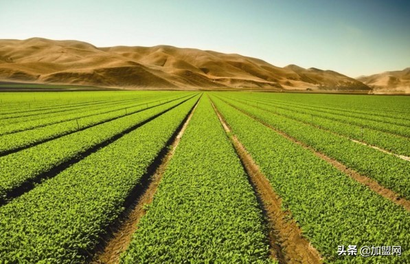 2020年十大创业行业排行榜,未来10年创业前景最好的十大行业