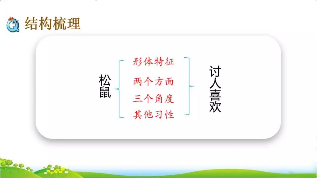 五年级语文第17课松鼠讲解,五年级上册第17课松鼠教材详解