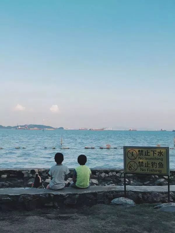 赞别人拍的照片,你用手机拍过哪些最美的照片