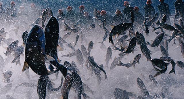 南海万安滩战略地位,中国南海万安滩的战略地位