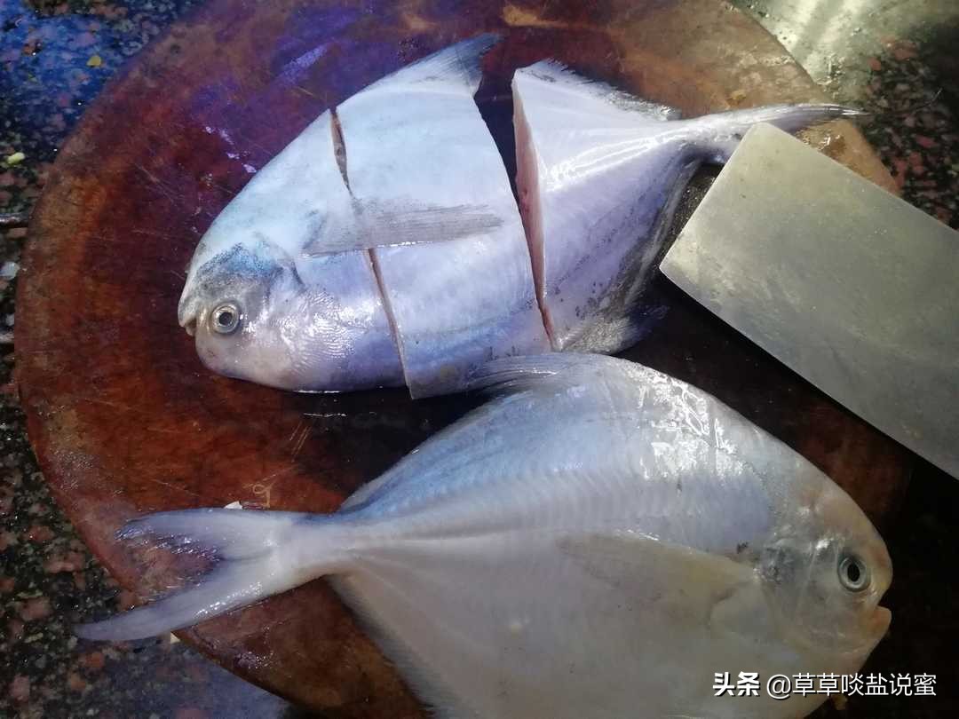 白鲳鱼怎么焖好吃,清蒸黑鲳鱼的做法大全