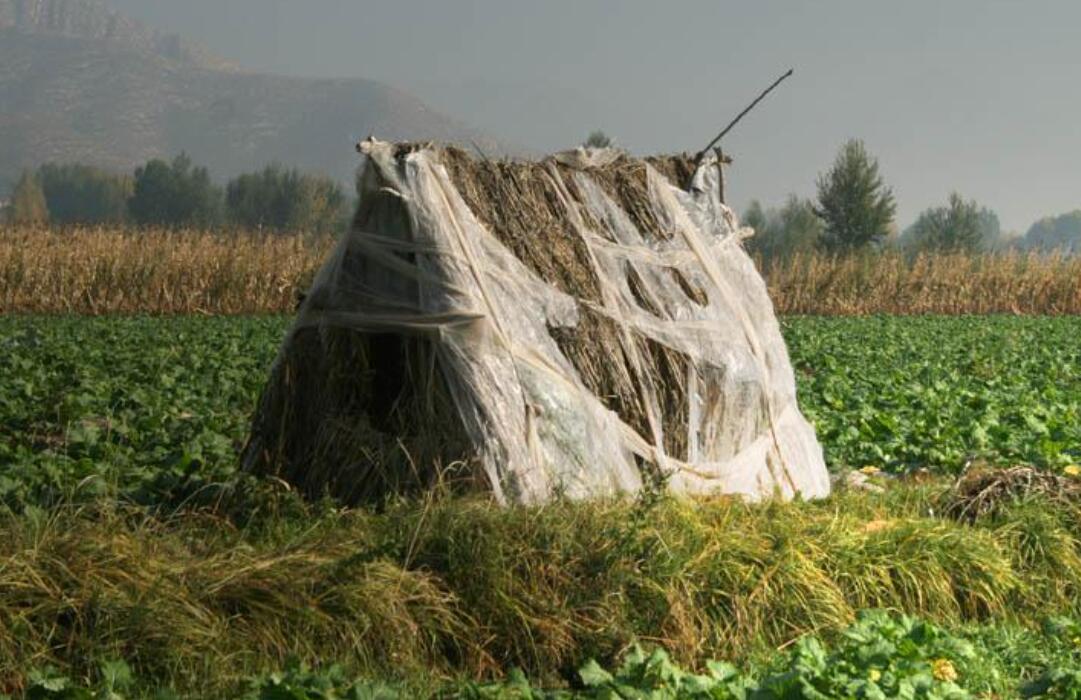 大棚建设的最新方法,大棚建设的各种方法