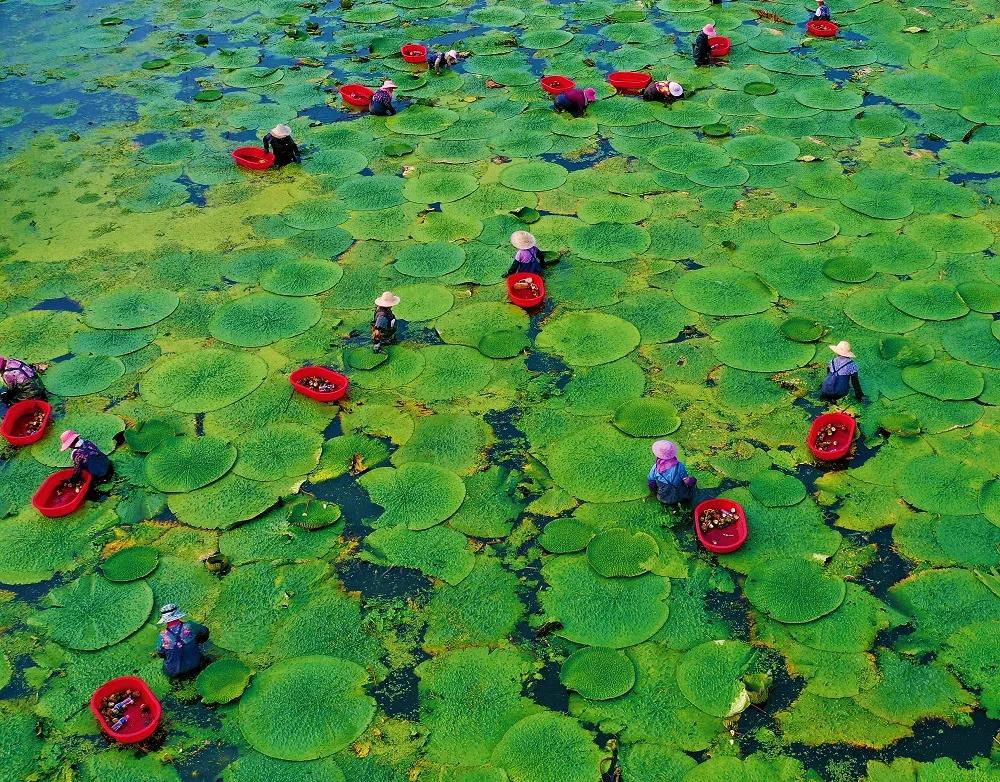 滁州市美景,安徽滁州美丽风景冬天视频