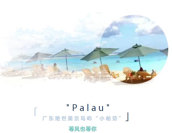 下川岛小帕劳,广东小帕劳