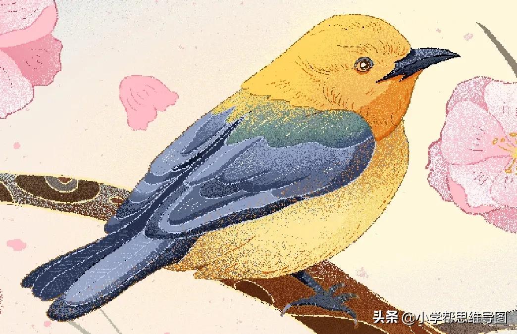 作文舌尖上的美食福州,作文舌尖上的美食饺子