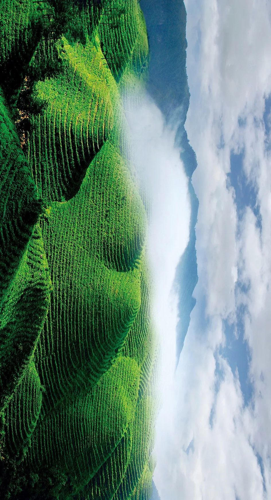 贵州速度，蔚为大观