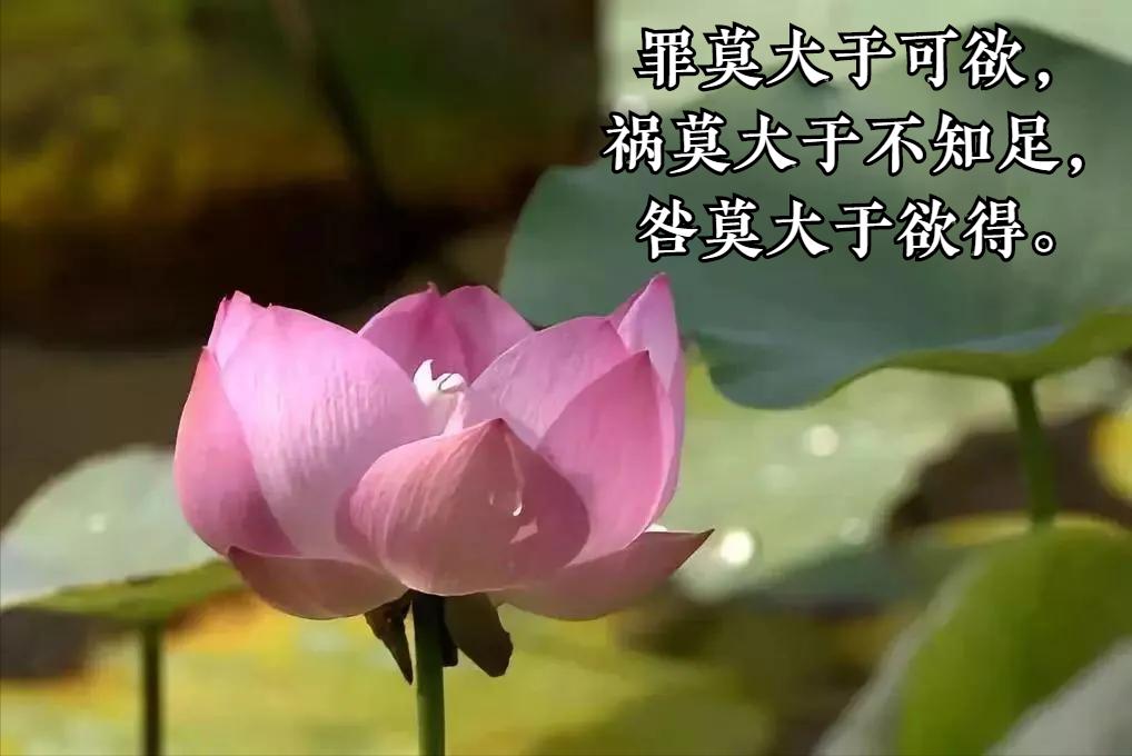 老子第二十四章启示感悟,老子五章其中一章感悟