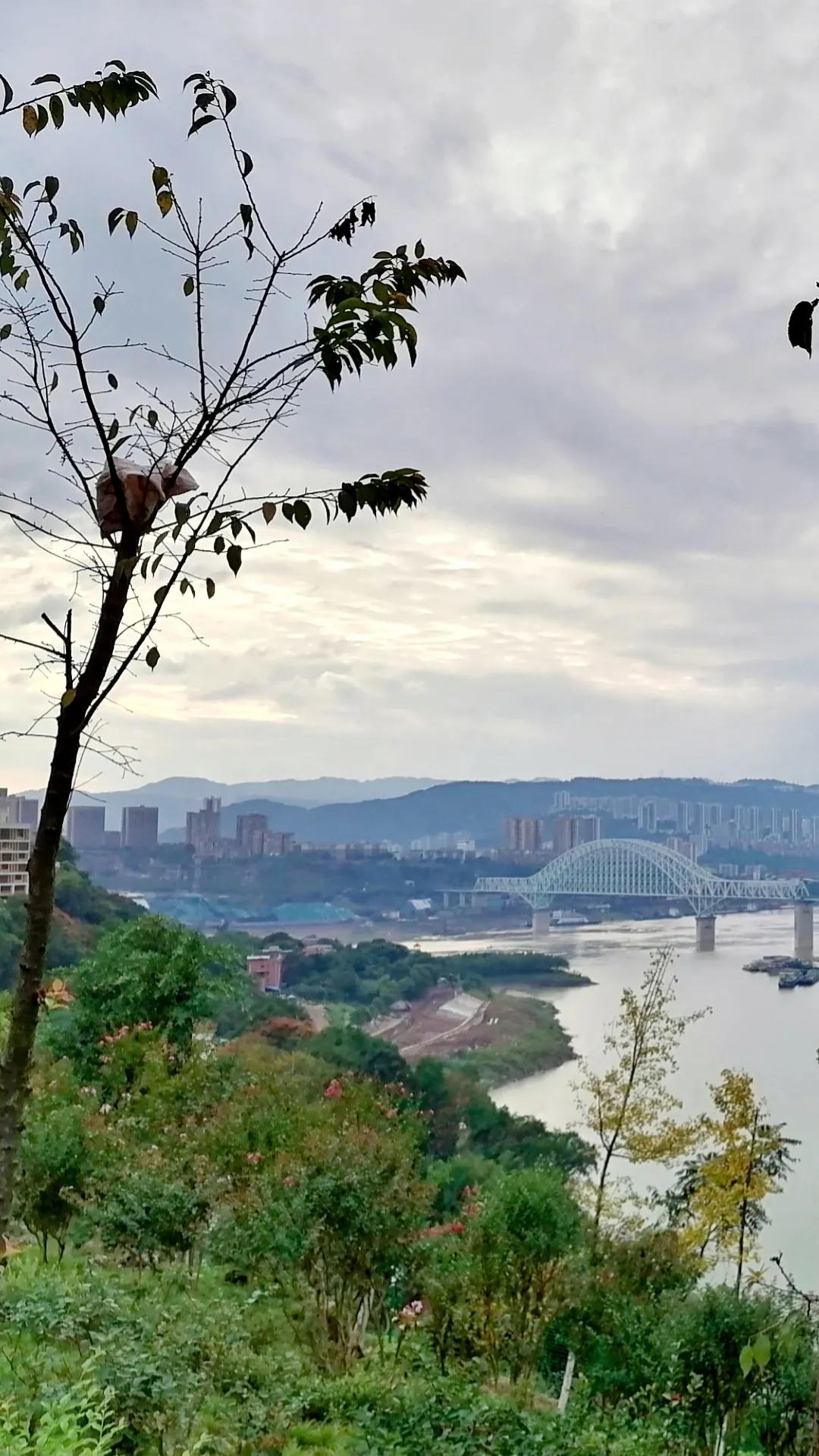 万州在重庆的实力如何?是最强吗?感觉很厉害的样子!