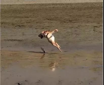 全景模式拍照教程,最丧心病狂的拍摄过程