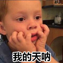 荔枝界的爱马仕,广东荔枝首选桂味荔枝