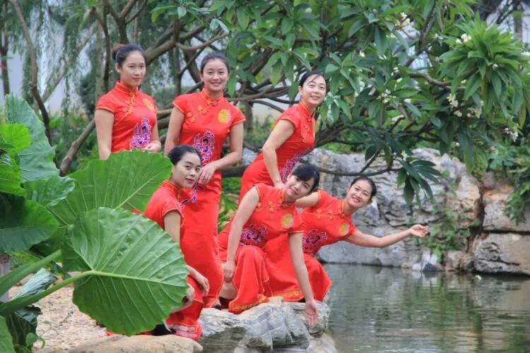 红色宝石树图片,红色宝石