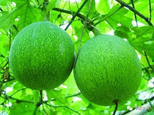 甘麦大枣汤治疗疑难杂症,甘麦大枣汤脏躁心神失养