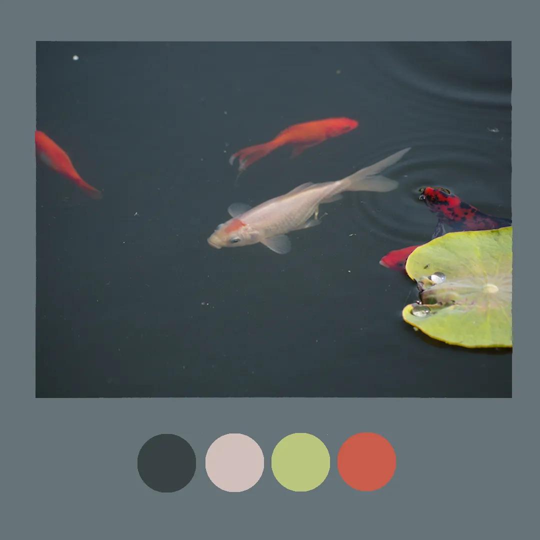 色彩里的构图,色彩中的光感