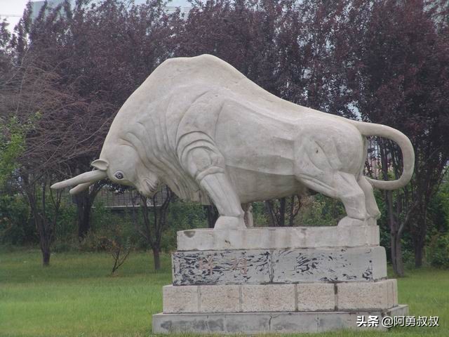 滕州一中全部名单,滕州一中百年名校