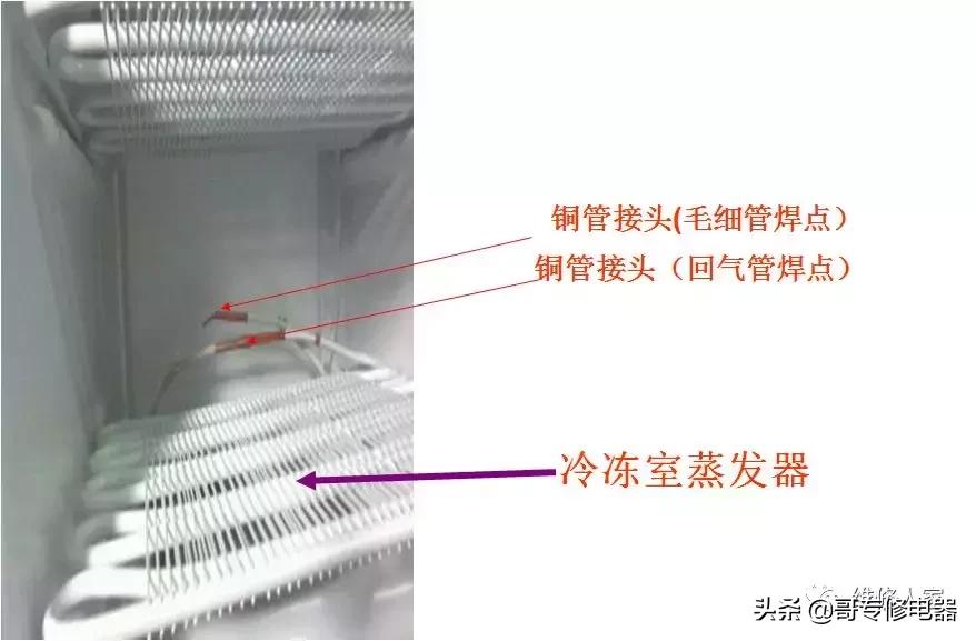 晶弘冰箱售后维修培训,晶弘冰箱的结构
