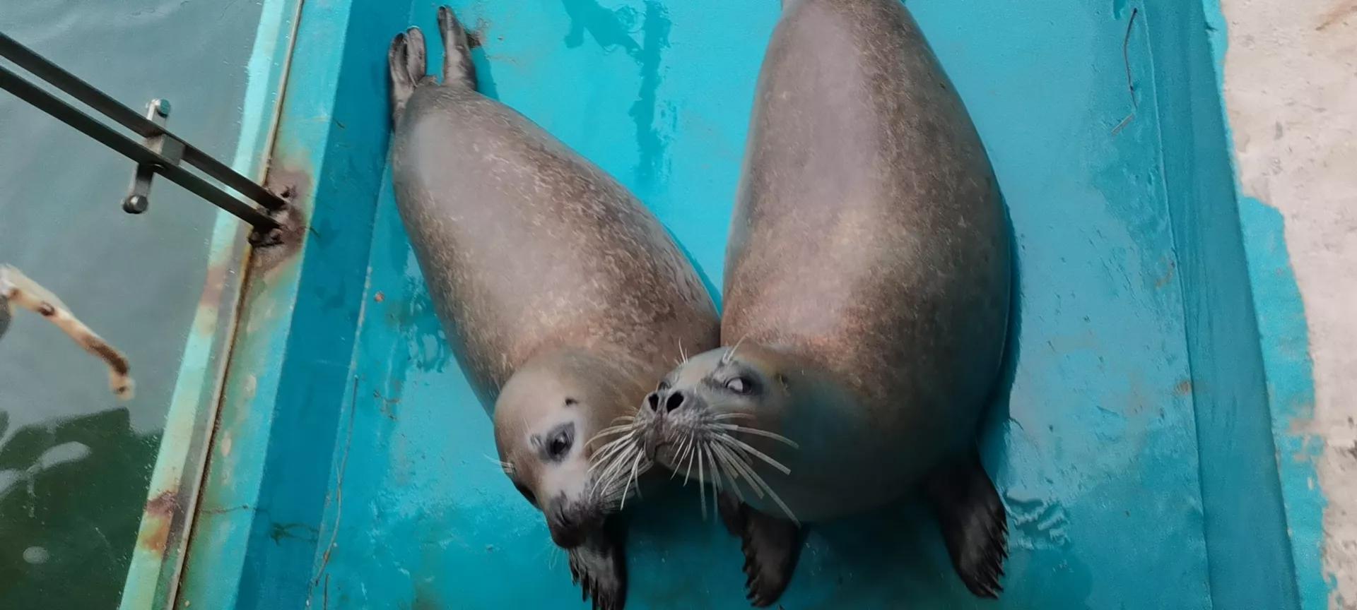 大连烟台青岛旅游7日游,青岛烟台大连六日游