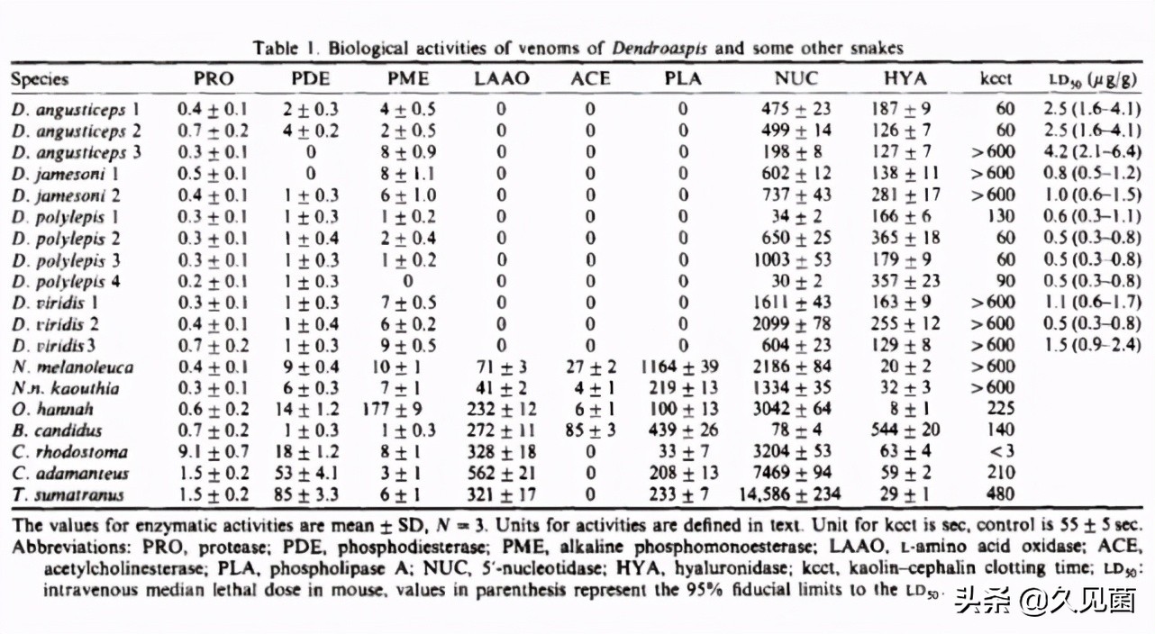 动物被蛇咬为什么不会死,狮子吃了被蛇咬的动物