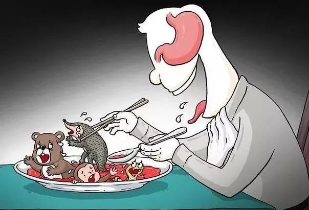 野生蝙蝠都吃什么,十大不能吃的野生蝙蝠