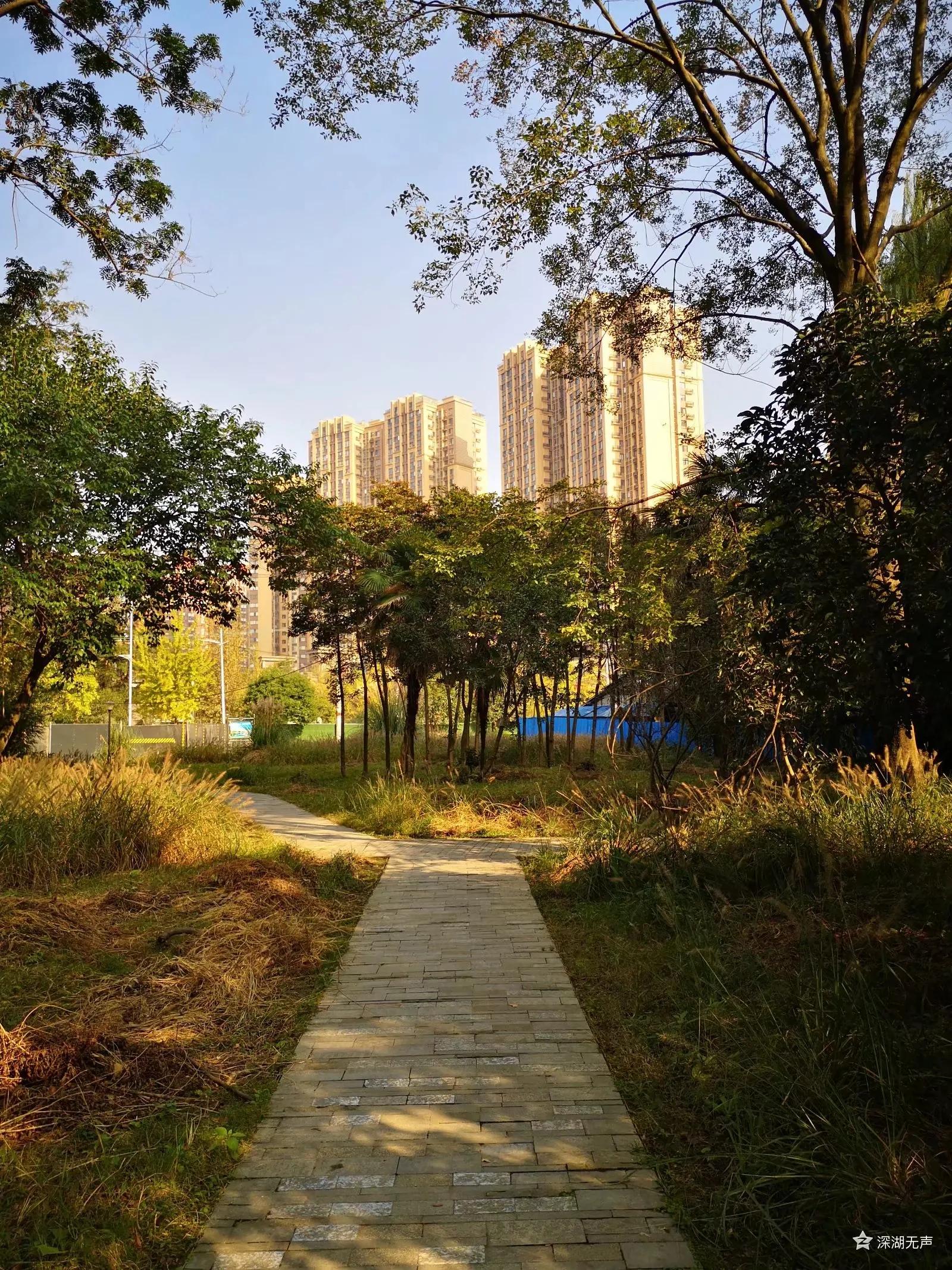 红光,一座荣光与梦想并存的小城